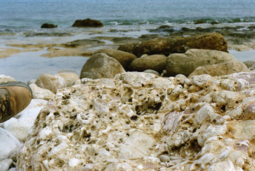 Breccia, southeastern coast  A. van Roekel