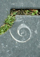 Fossils in Amsterdam Alleys. Photo by A. van Roekel